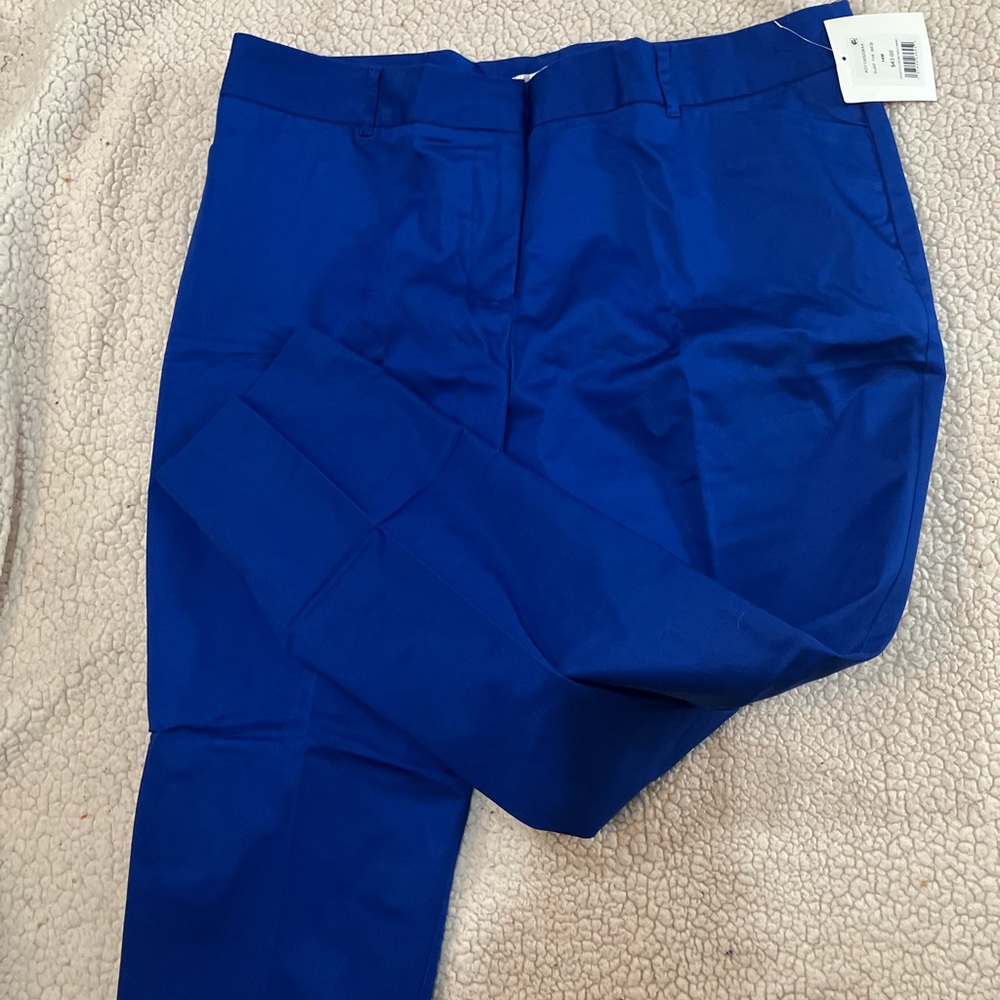 dress pants size 14 W
